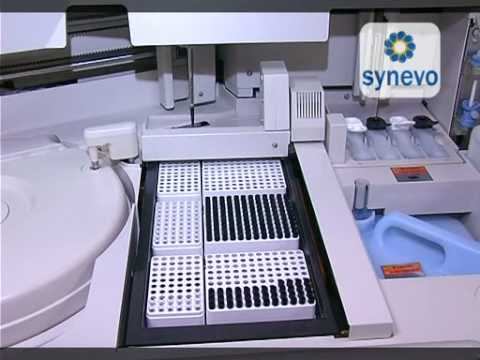 Synevo 2009