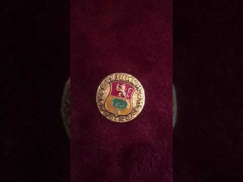 Герб города Вязники значок коллекции "Золотое Кольцо" Геральдика смотреть онлайн