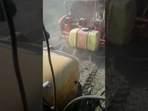 Сажаем картофель сорт "Бельмонда". смотреть онлайн