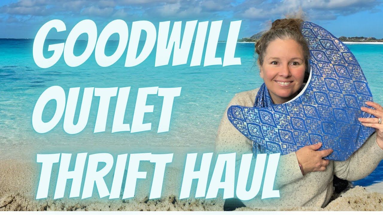 BINS HAUL || What I picked up at the Goodwill Outlet смотреть онлайн