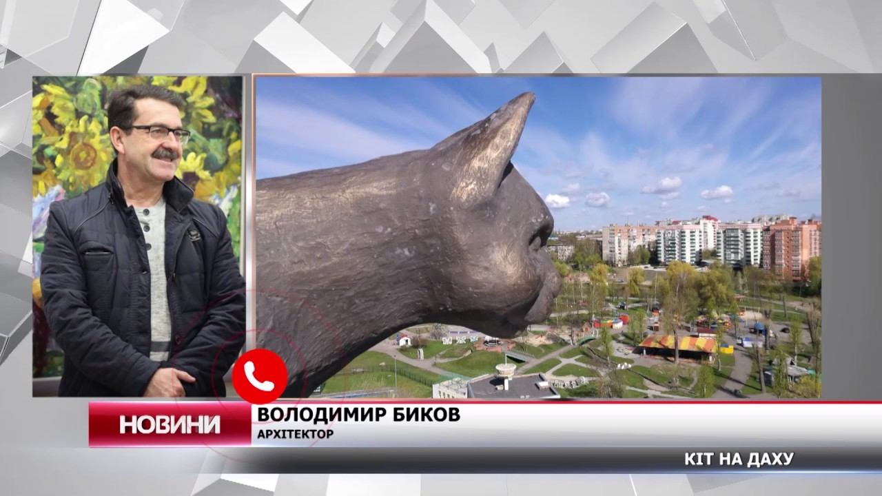 У Сумах застиг кіт на даху смотреть онлайн