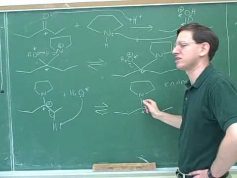 Reactions of enamines and enolates (2) смотреть онлайн