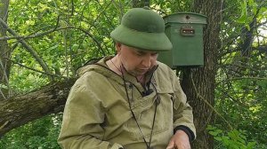 Ловим диких пчел в глухом лесу Установка ловушек для пчел