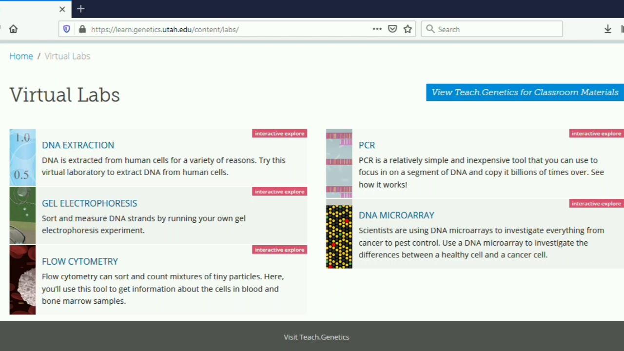 Praktikum Virtual Genetika - Gel Elektrophoresis - Aplikasi Virtual Lab. смотреть онлайн