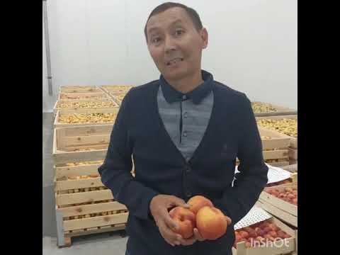 Хранилище нового поколения смотреть онлайн