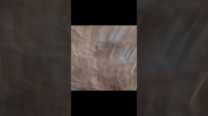 попи плей тайм 10 ночей с Тимохой