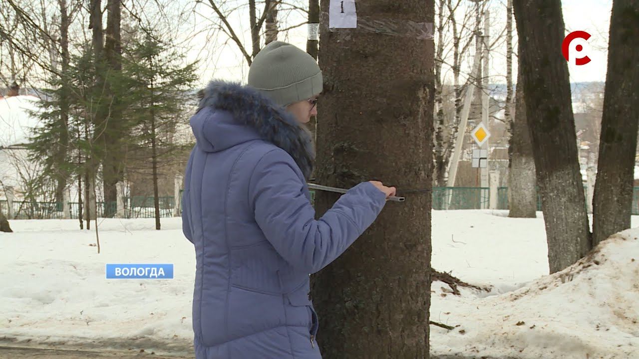 Финальный этап межрегиональной олимпиады школьных лесничеств прошел в Молочном смотреть онлайн