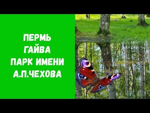Пермь. Гайва. Парк Чехова. Зарисовка: лето 2022 смотреть онлайн
