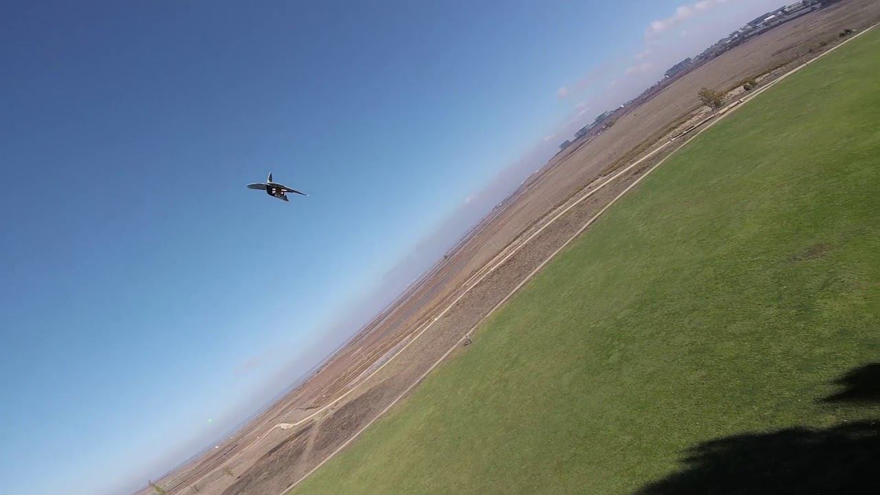 What the Duck?! (Flapping Duck Airplane) смотреть онлайн