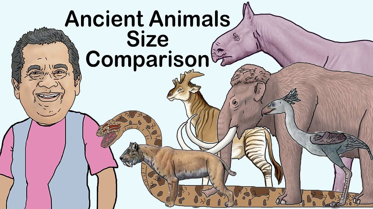 Prehistoric animals size comparison. Brahmanandam vs Monsters. смотреть онлайн