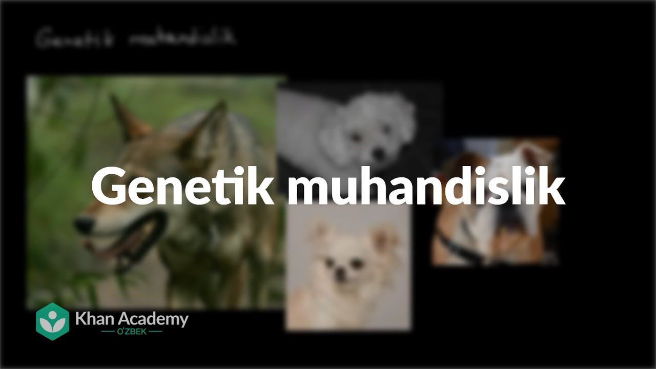 Genetik muhandislik | Klassik genetika | Yuqori sinf biologiyasi смотреть онлайн