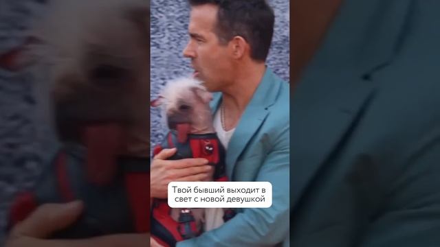 Пишите слово «терапия» и получайте бесплатный разбор именно вашей  ситуации от меня лично