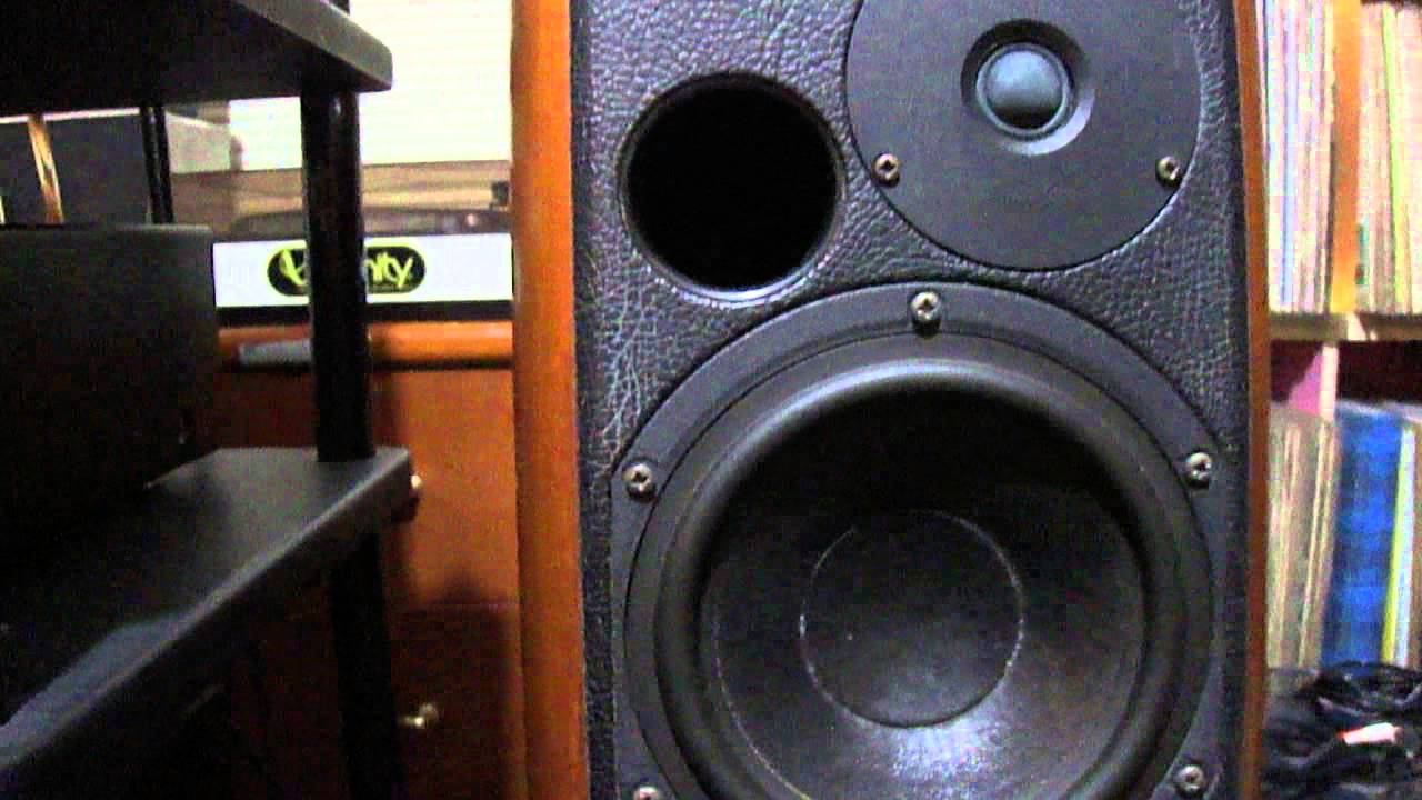 Lungyim~PIONEER EXCLUSIVE M4 -Sonus Faber Concertos ( 2 )