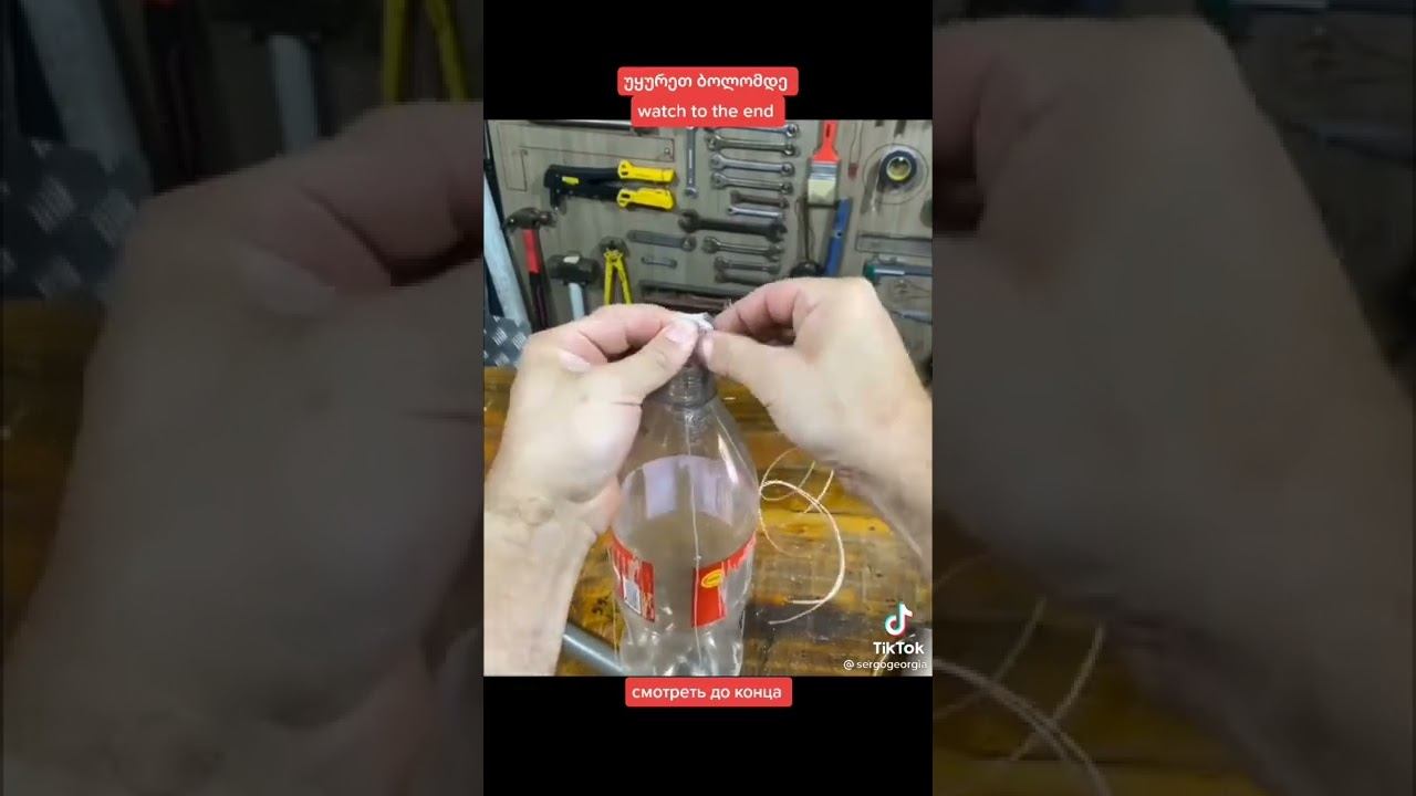 Снять плод с дерева. смотреть онлайн