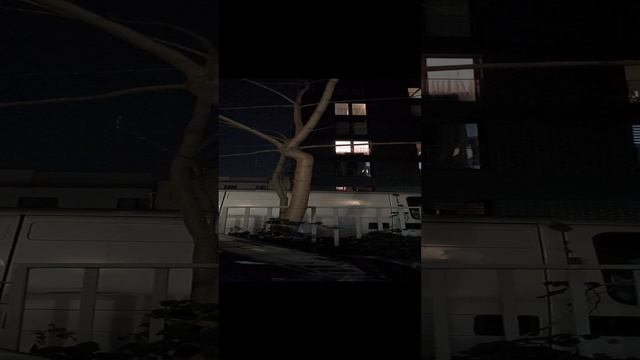 Парфюмер (запись с улицы 1) - 25.11.24 смотреть онлайн