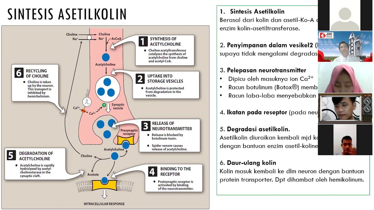 Kuliah 7 (Obat-obat kolinomimetik) смотреть онлайн