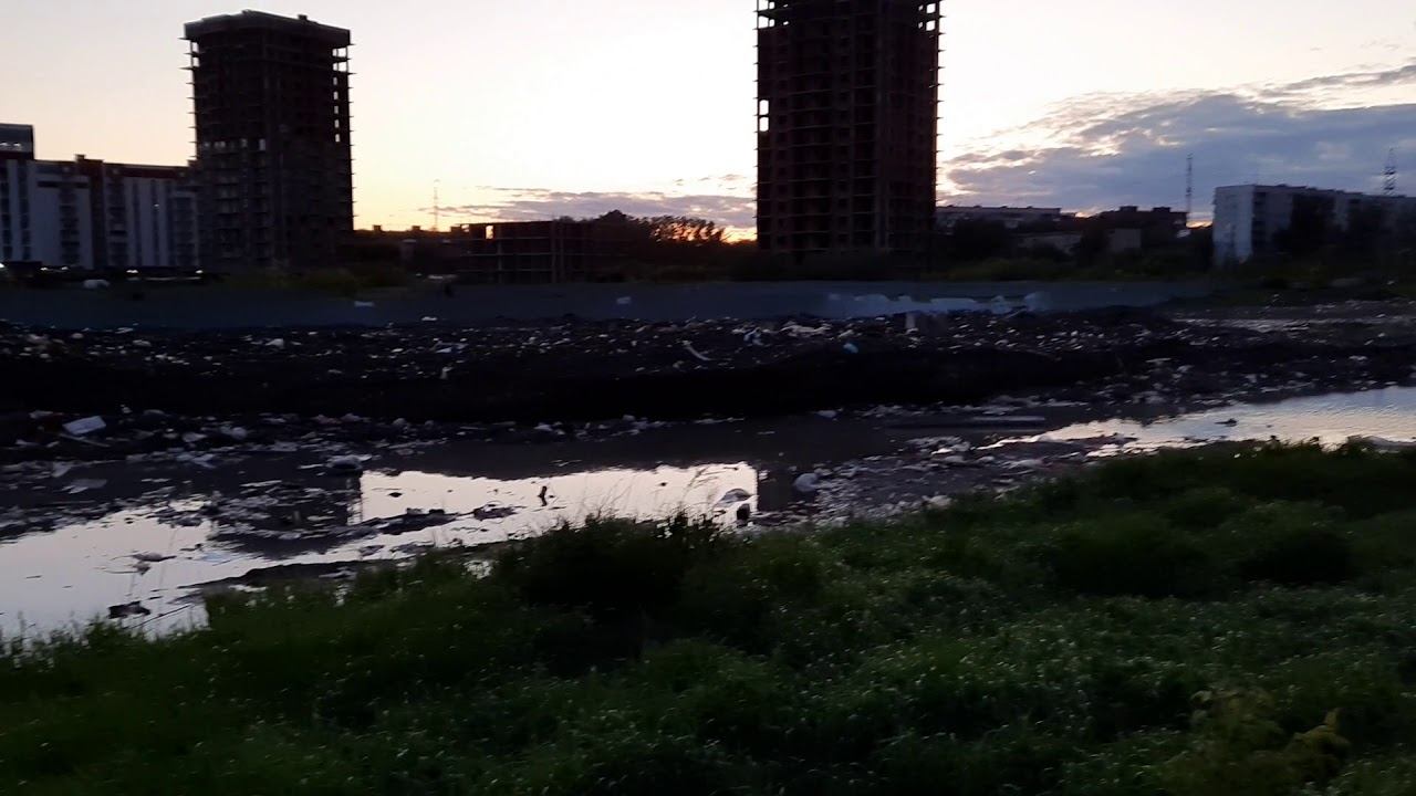 Позор властям Новосибирска! смотреть онлайн