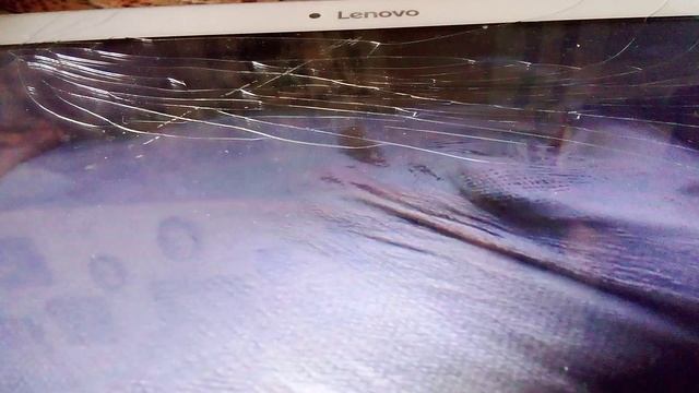 Бурый мишка по имени Зузу - житель ташкентского зоопарка.