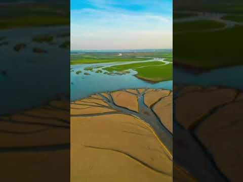 Самое жаркое лето 2023 смотреть онлайн