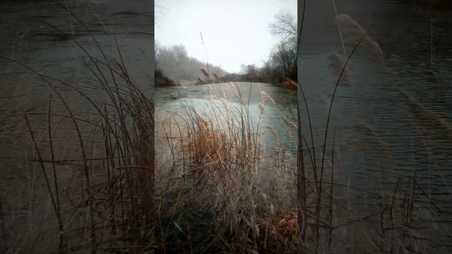 Суровые будни ноября смотреть онлайн