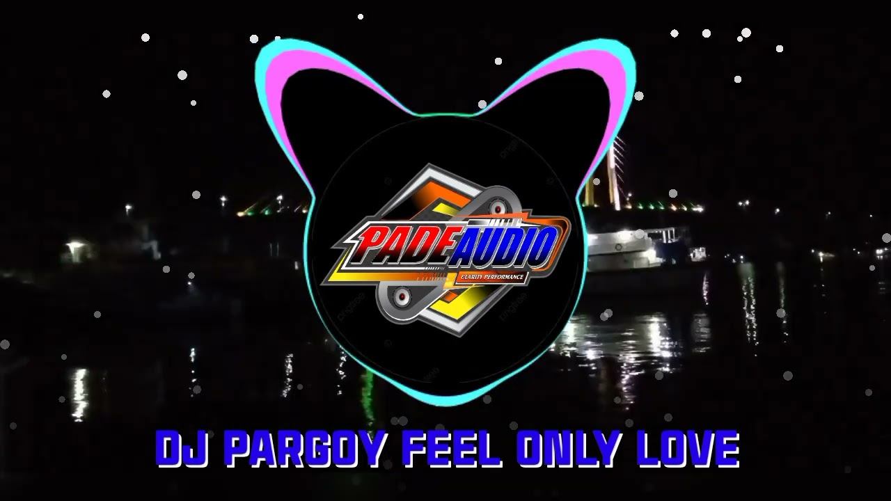 DJ PARGOY FEEL ONLY LOVE смотреть онлайн