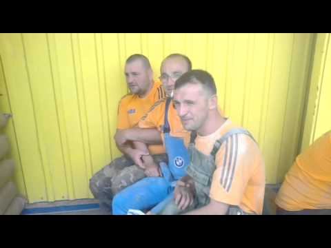 приколи бази октава смотреть онлайн