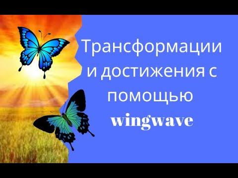 Трансформации и достижения с помощью wingwave смотреть онлайн