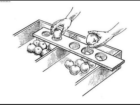 Буст рейтинга Dota 2 Medusa "Калибровка" Обратная сторона медали смотреть онлайн