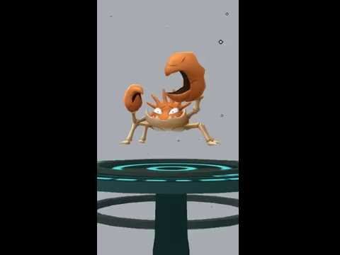 Pokemon Go - эволюция покемонов Zubat,Krabby,Machop,Pidgey,Poliwag,Rattata,Weedle