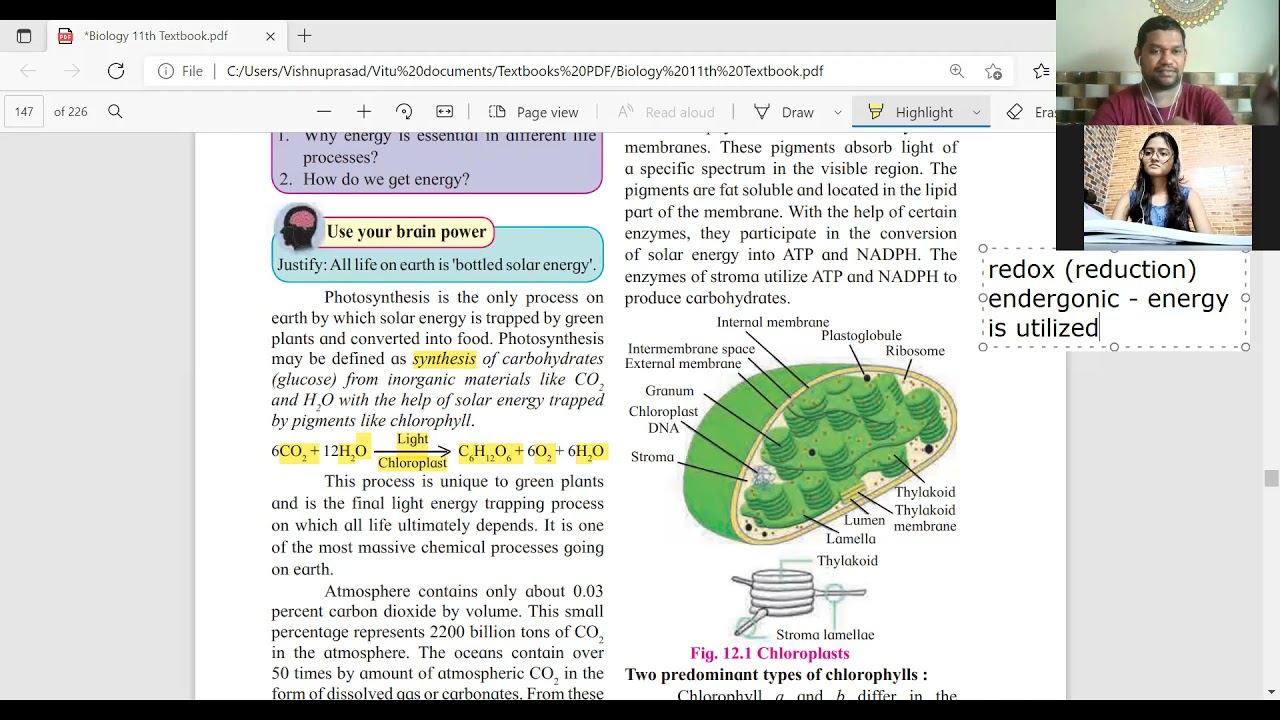 Photosynthesis - Introduction, Chloroplasts structure, Photosynthetic pigments, Light & Spectrum смотреть онлайн