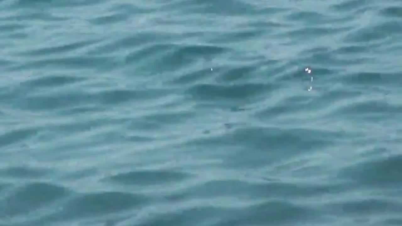 Крым отель Эллада