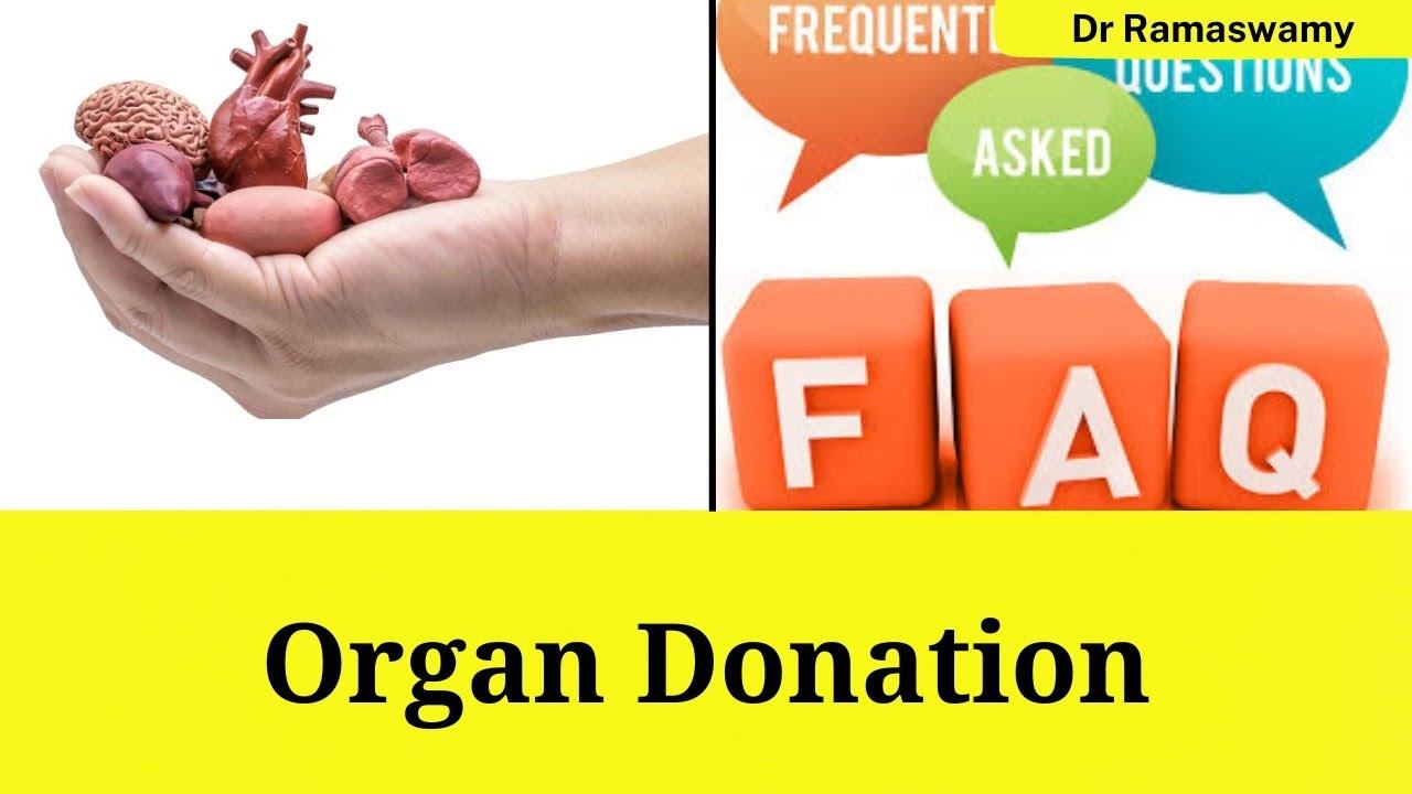 FAQs of organ donor смотреть онлайн
