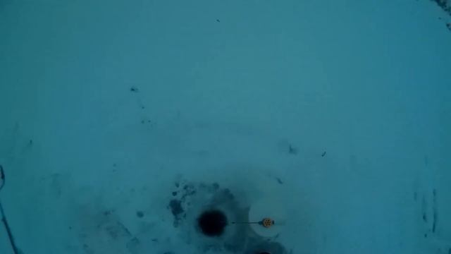 Зимняя рыбалка Ловля живца для жерлицы