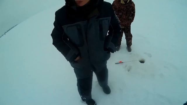 Зимняя рыбалка Кама Бельское берш на тюльку с Кама Fishing