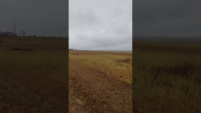 3943928 смотреть онлайн