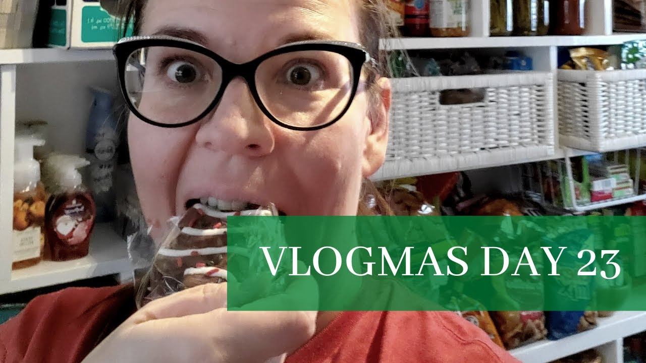 #vlogmas2020 Day 23- After my grocery haul I needed a Pantry Overhaul-Clean-Organize | Christmas 🎄 смотреть онлайн