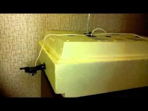 Отзыв о инкубаторе 'Золушка' после года владения