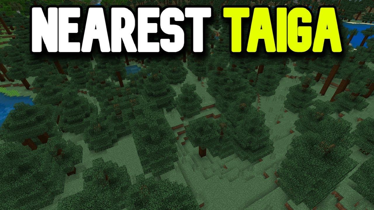 How to Find the Nearest Taiga Biome in Minecraft (Quick Tutorial) смотреть онлайн