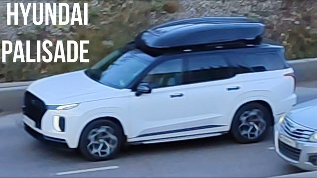 Hyundai Palisade 2020 смотреть онлайн