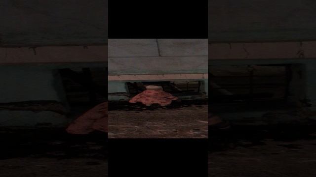 IMG_4092 смотреть онлайн