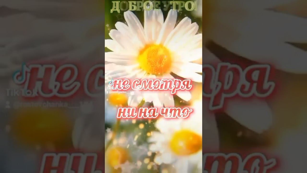 доброе утро,хорошего дня смотреть онлайн