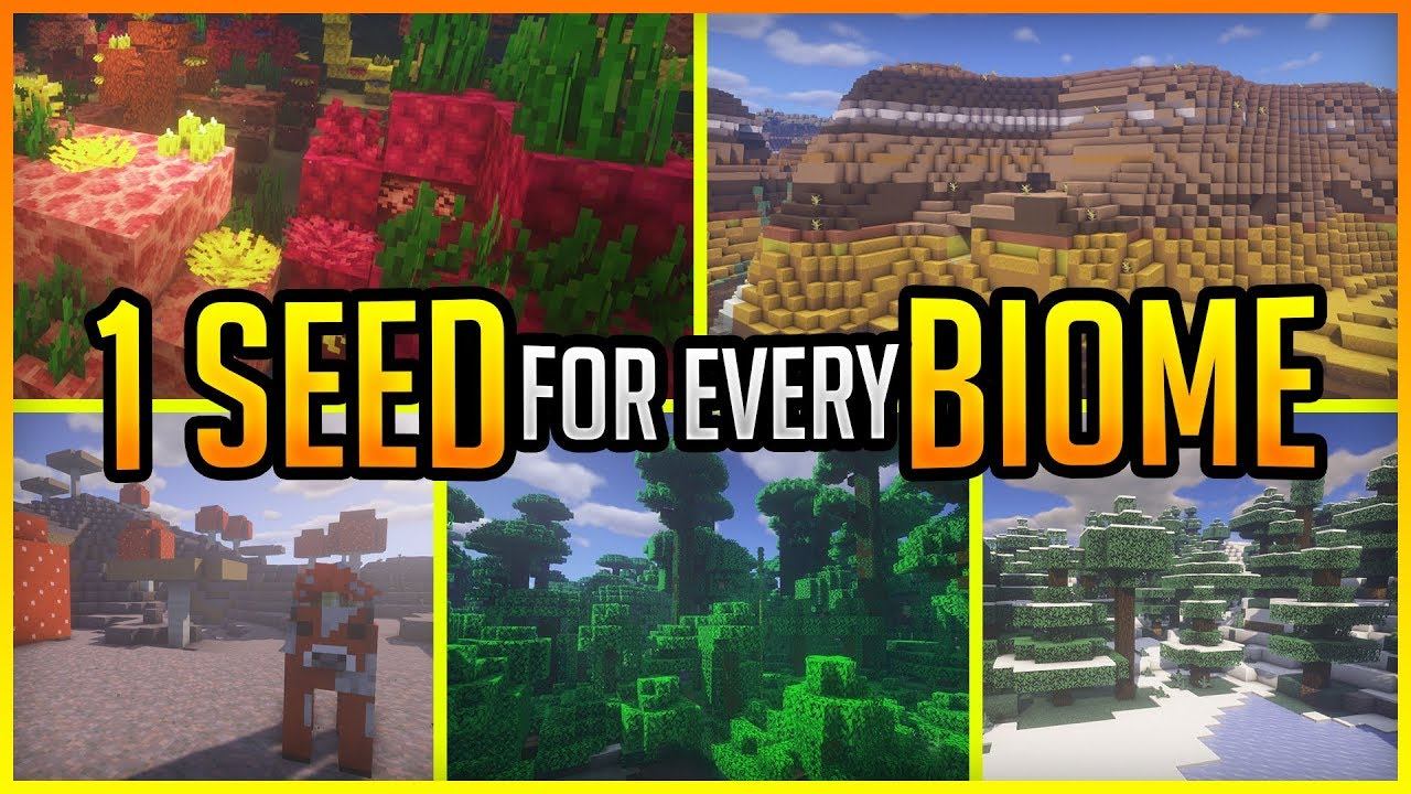 1 SEED For Each BIOME In Minecraft 1.17.1! ✨ErikOnHisPeriod смотреть онлайн