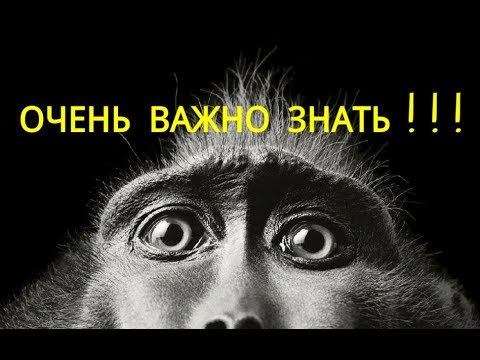 Как удивить всех / Как удивить подписчиков / Как удивлять.