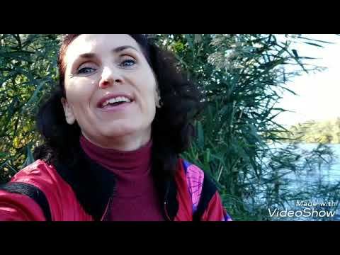 Сказка "Храбрый папа Крыс" и ЭкоАкция смотреть онлайн