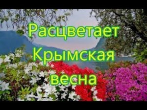 Расцветает Крымская весна