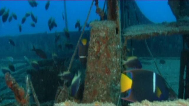 Земля: Жизнь без людей (документальный фильм, 2008)