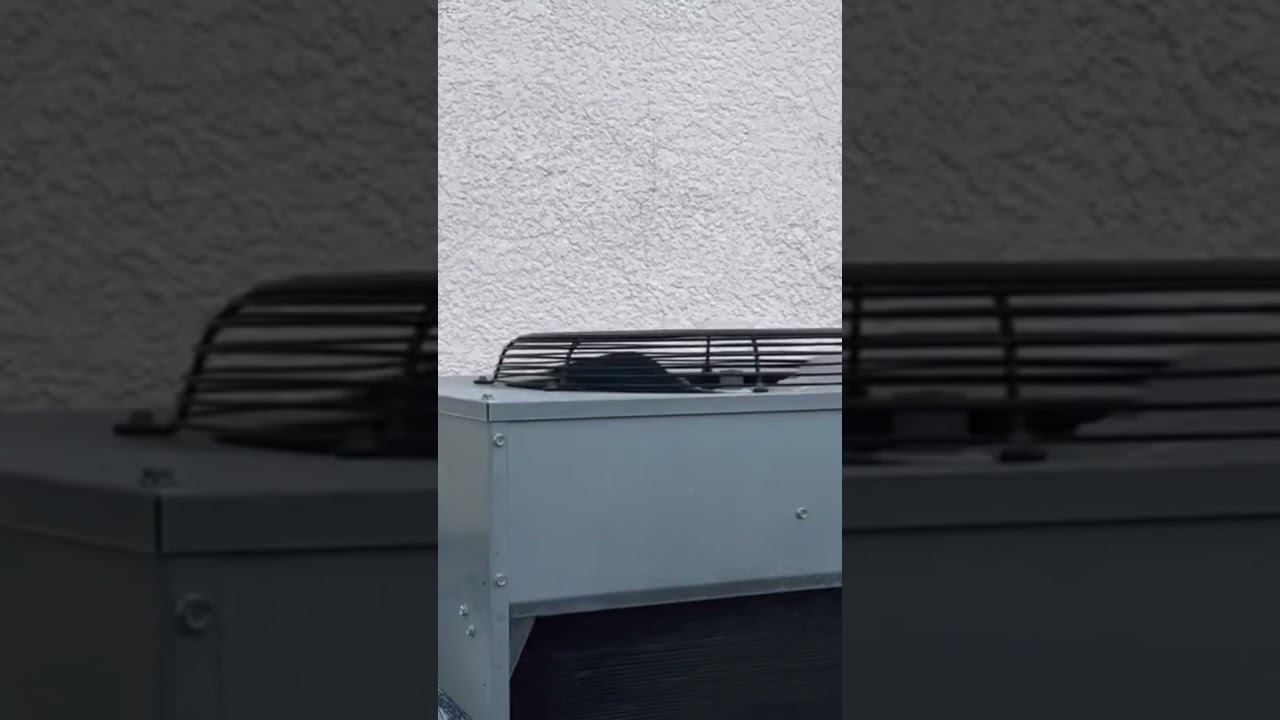 Ice maker смотреть онлайн