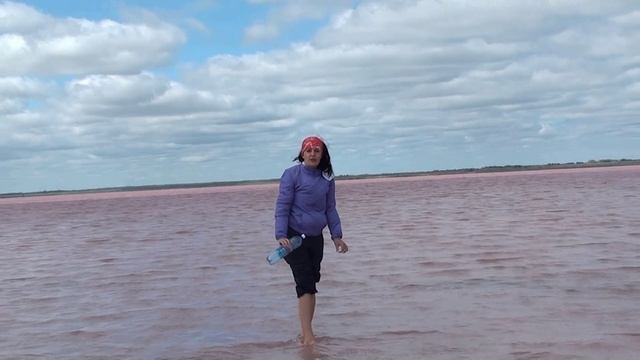 2015 год бурсоль дельфины смотреть онлайн