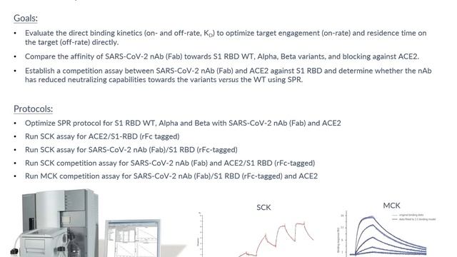 Recombinant SARS-CoV-2 Neutralizing Antibody Blocks Spike RBD-ACE2 Interaction; SPR Characterizatio смотреть онлайн