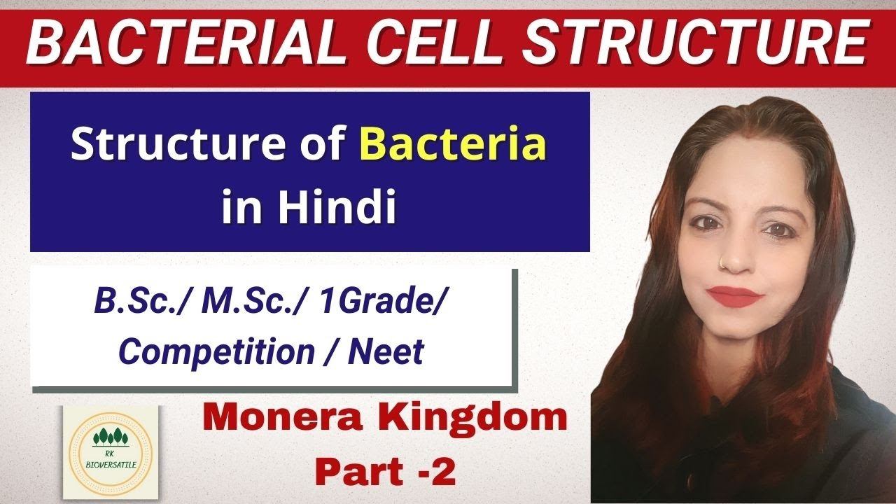 Bacteria Structure in Hindi | जीवाणुओ की संरचना | Structure of Bacteria Cell | Kingdom - Monera смотреть онлайн